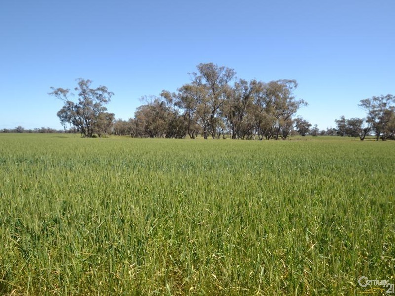 Gilmores Perricoota Road, Moama NSW 2731