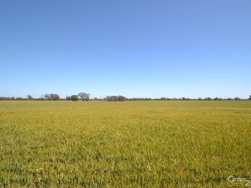 Gilmores Perricoota Road, Moama NSW 2731