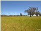 Gilmores Perricoota Road, Moama NSW 2731