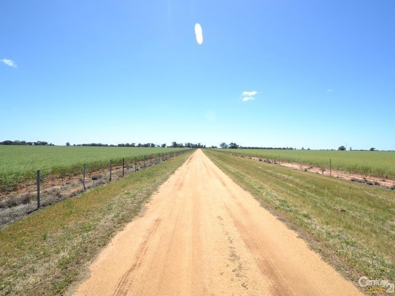 Winillba Bunnaloo Road, Mathoura NSW 2710