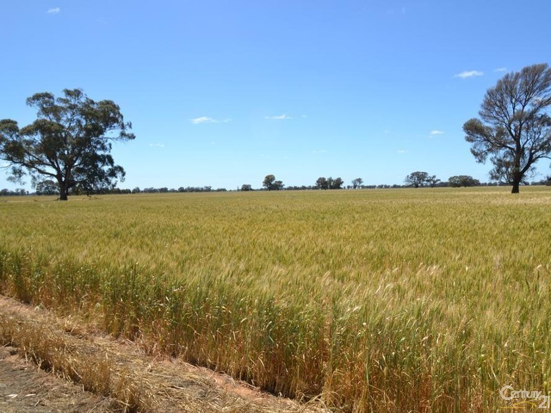 Winillba Bunnaloo Road, Mathoura NSW 2710