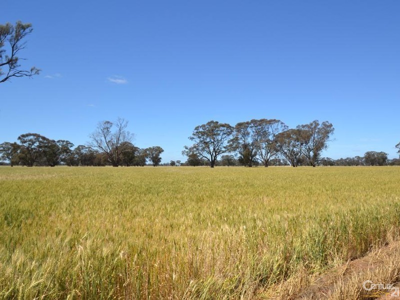 Winillba Bunnaloo Road, Mathoura NSW 2710