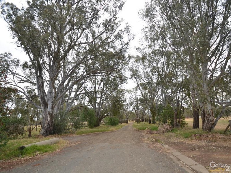 14 Martin Street, Echuca VIC 3564