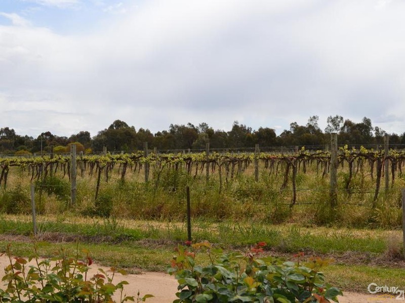 Lot 1 Merool Lane, Moama NSW 2731