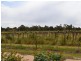 Lot 1 Merool Lane, Moama NSW 2731