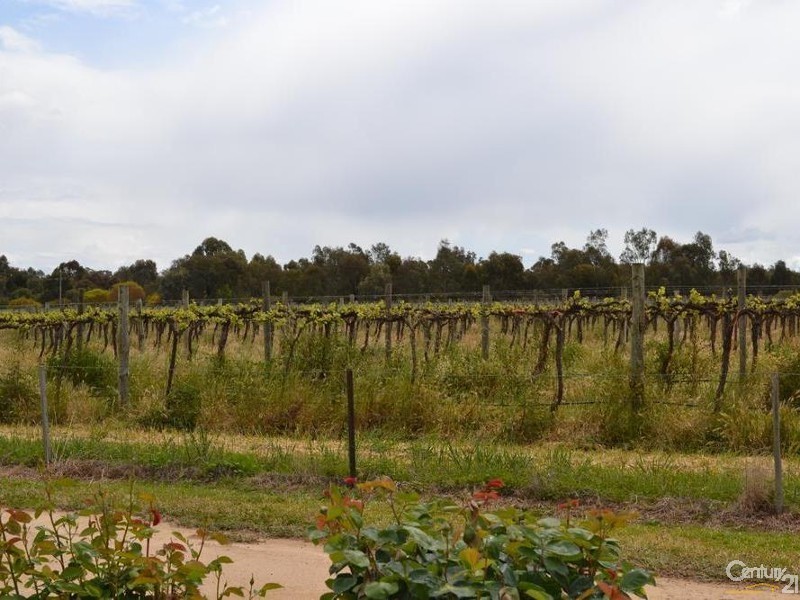 Lot 1 Merool Lane, Moama NSW 2731