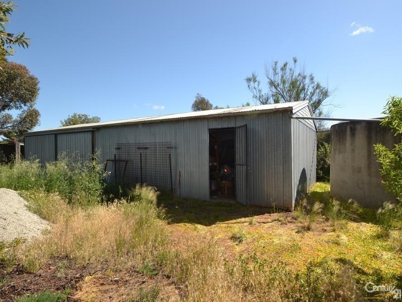 11 Patrick Street, Mitiamo VIC 3573