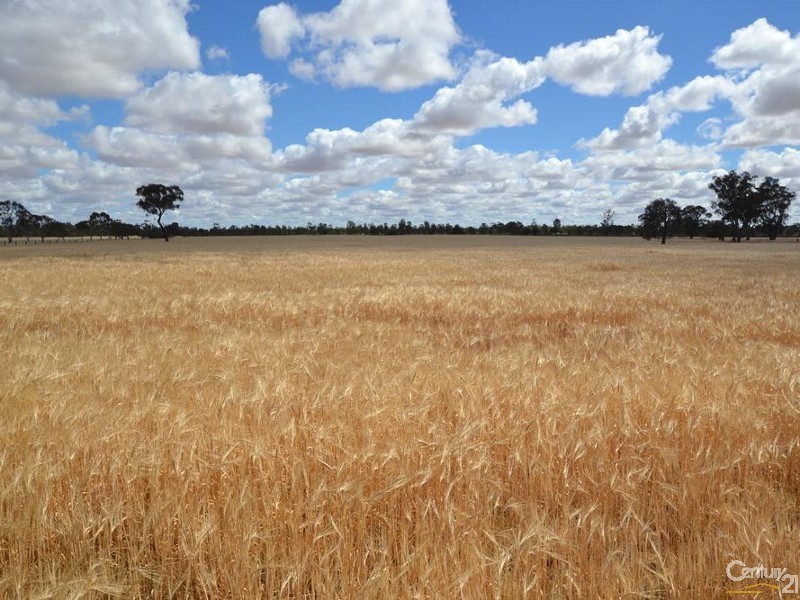 RMB 2570 Perricoota Road, Moama NSW 2731