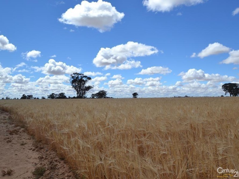 RMB 2570 Perricoota Road, Moama NSW 2731