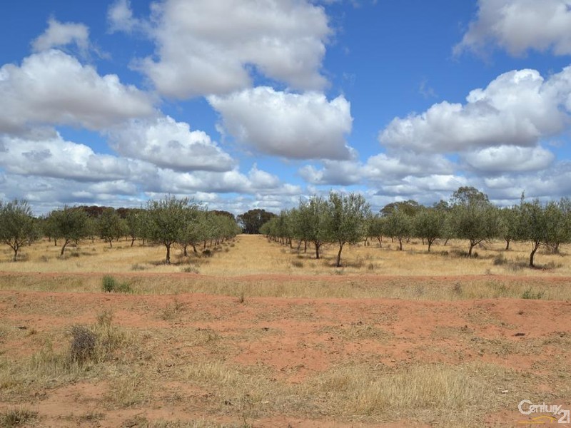 RMB 2570 Perricoota Road, Moama NSW 2731