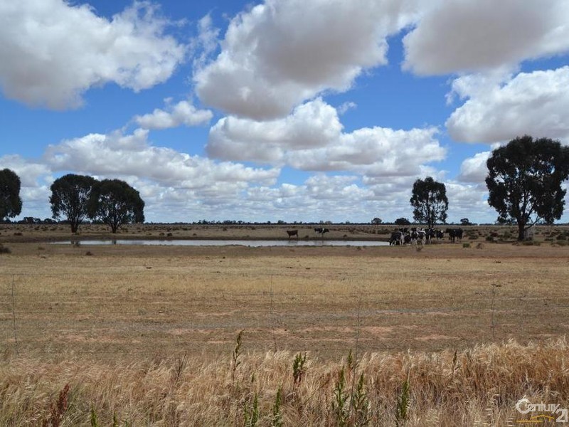 RMB 2570 Perricoota Road, Moama NSW 2731