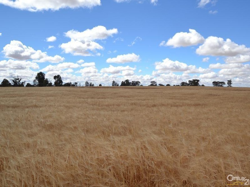 RMB 2570 Perricoota Road, Moama NSW 2731