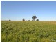 261 Barmah Rd, Moama NSW 2731