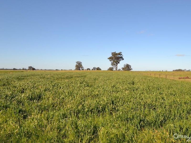 261 Barmah Rd, Moama NSW 2731