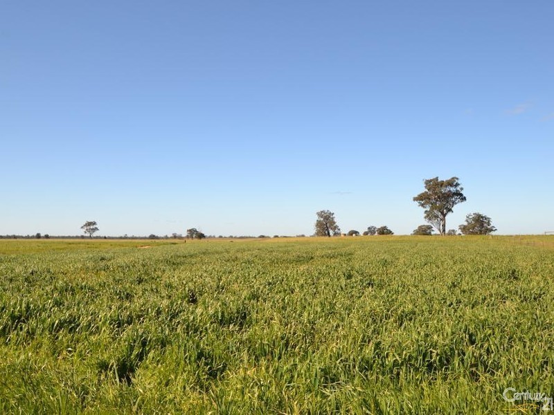 261 Barmah Rd, Moama NSW 2731