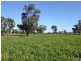 261 Barmah Rd, Moama NSW 2731