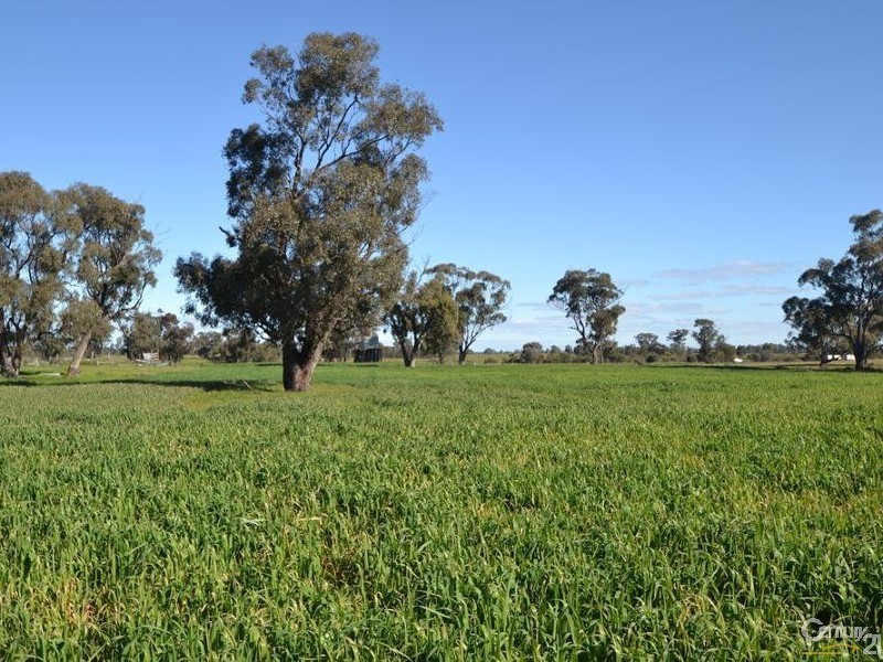 261 Barmah Rd, Moama NSW 2731