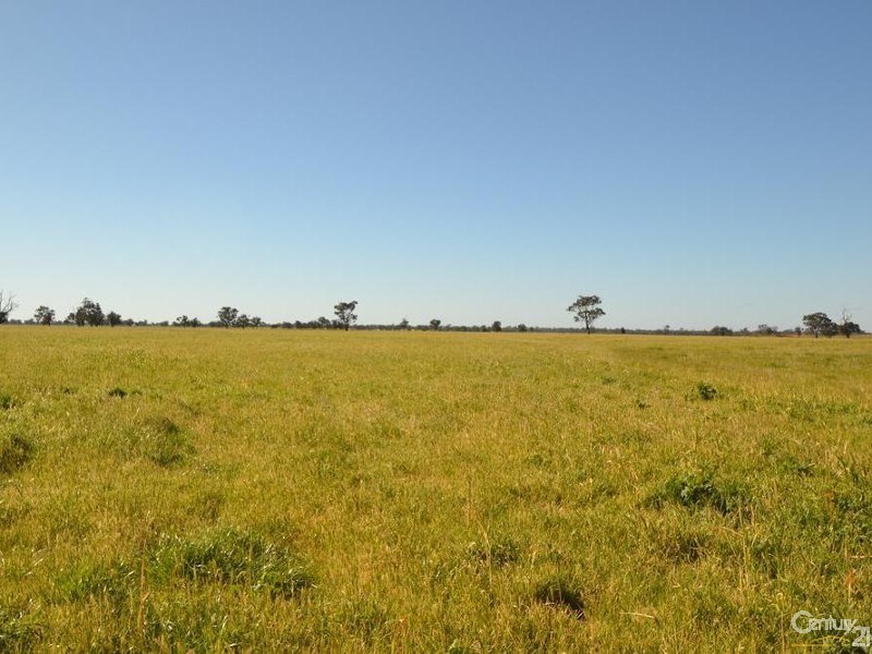 261 Barmah Rd, Moama NSW 2731