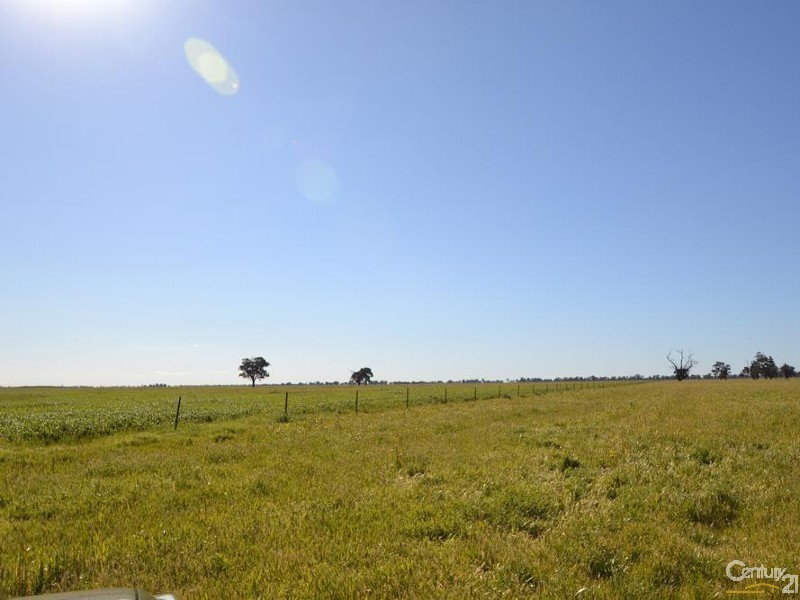 261 Barmah Rd, Moama NSW 2731