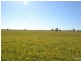 261 Barmah Rd, Moama NSW 2731