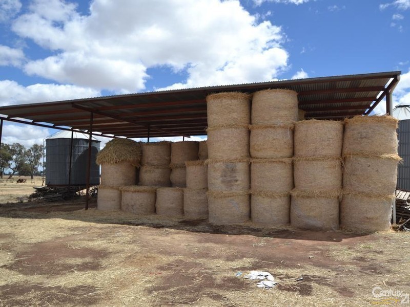 261 Barmah Rd, Moama NSW 2731