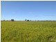 261 Barmah Rd, Moama NSW 2731