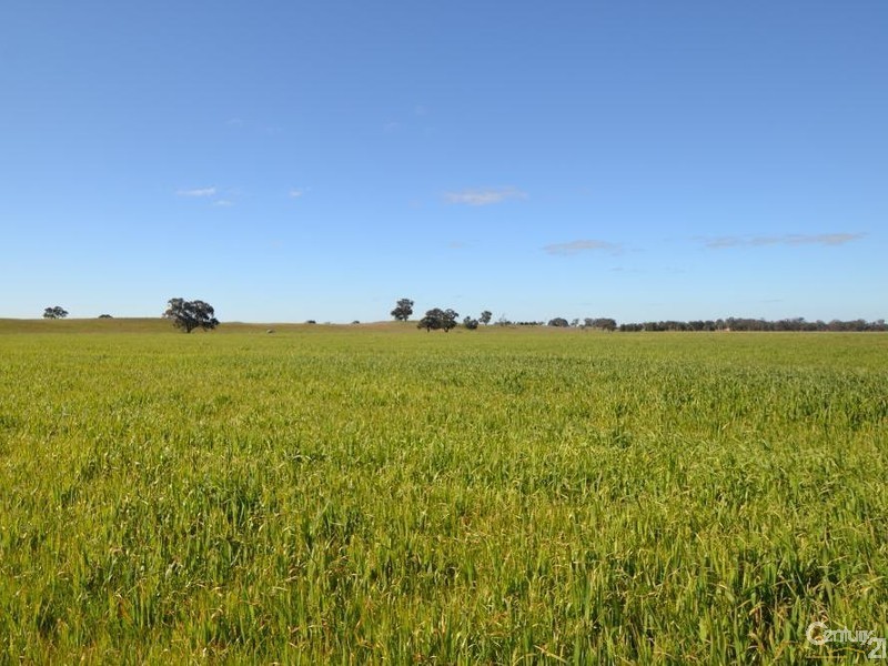 261 Barmah Rd, Moama NSW 2731