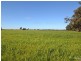 261 Barmah Rd, Moama NSW 2731