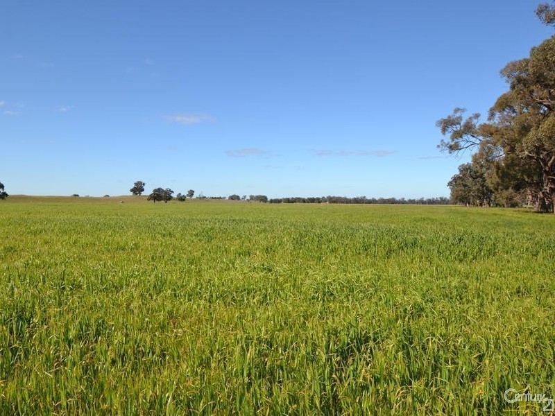 261 Barmah Rd, Moama NSW 2731