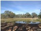 133 Pianta Road, Echuca VIC 3564