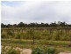 Lot 1A Merool Lane, Moama NSW 2731