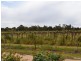 Lot 1A Merool Lane Moama via, Echuca VIC 3564