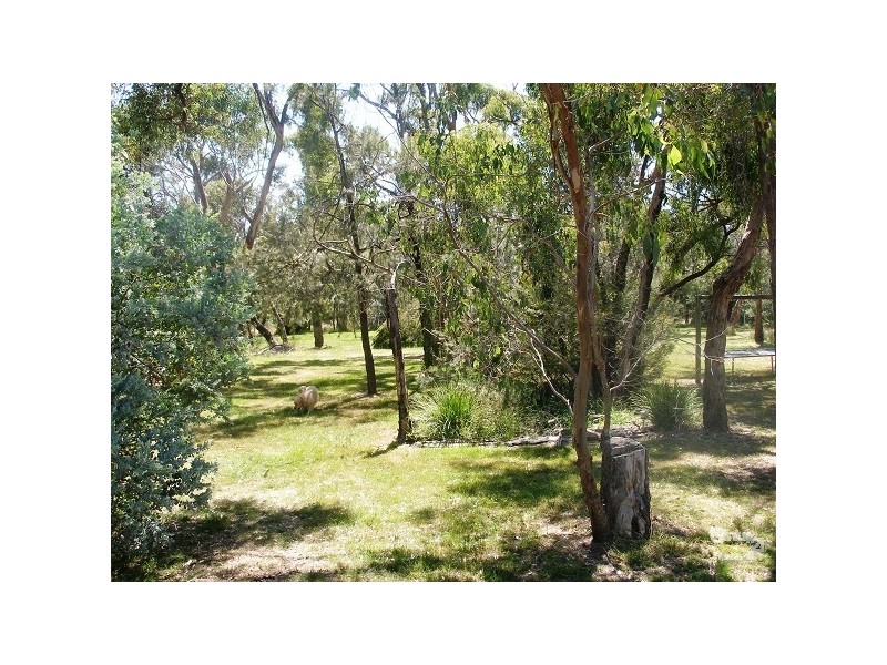 6 Tea Tree Place, Somerville VIC 3912