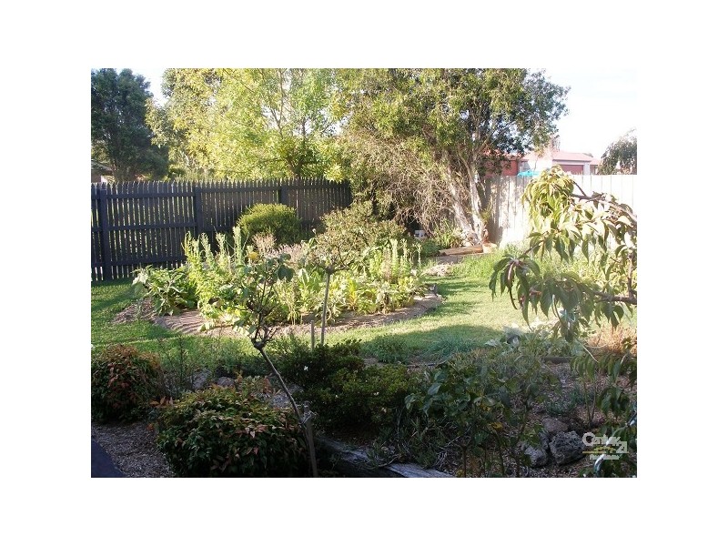 46 Robert Street, Somerville VIC 3912