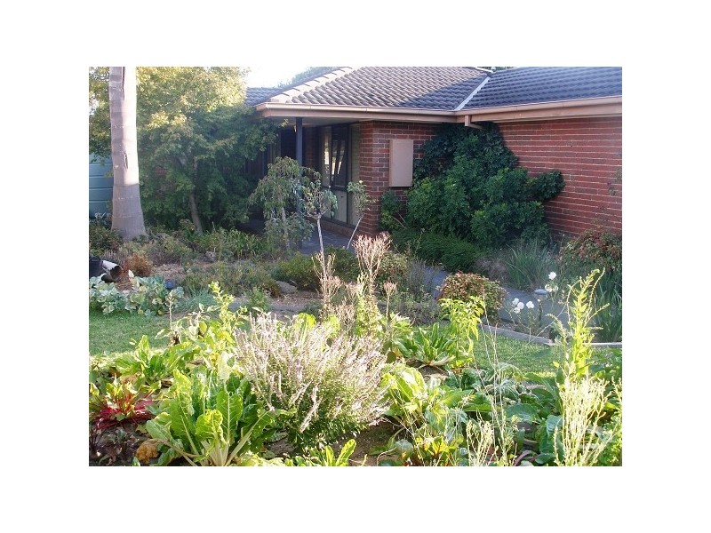 46 Robert Street, Somerville VIC 3912