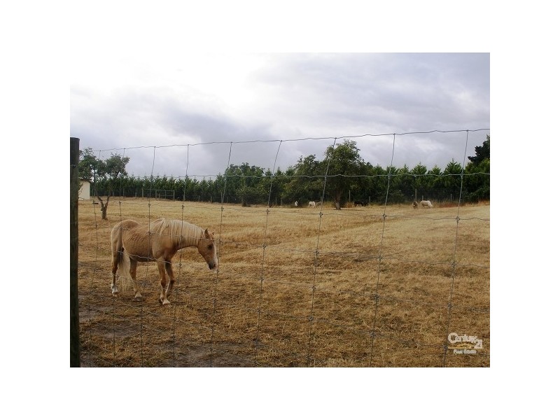 104 Grant Road, Baxter VIC 3911