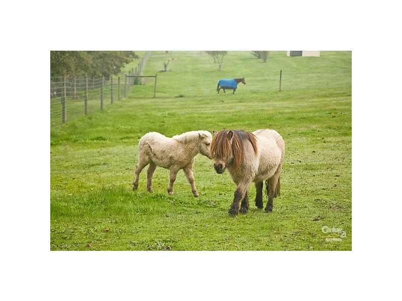 104 Grant Road, Baxter VIC 3911