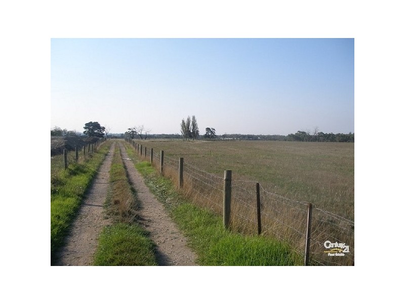 56 Bungower rd, Somerville VIC 3912