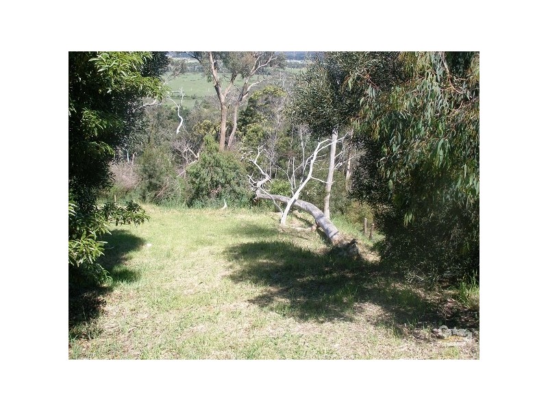 43 Two Bays Road, Mount Eliza VIC 3930