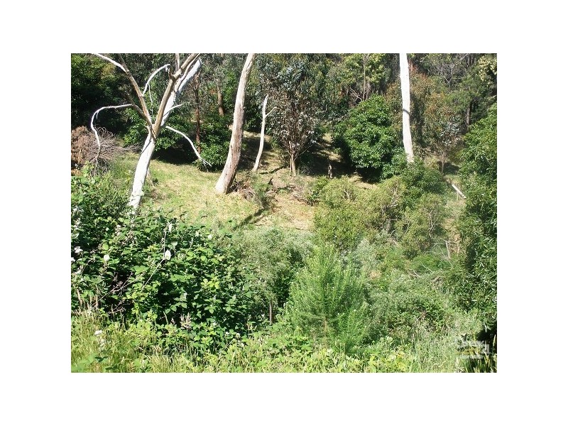 43 Two Bays Road, Mount Eliza VIC 3930