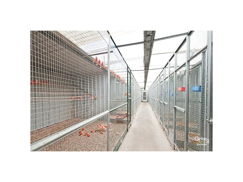 6 Pivato Court, Cannons Creek VIC 3977