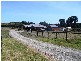 116 Grant Road, Baxter VIC 3911