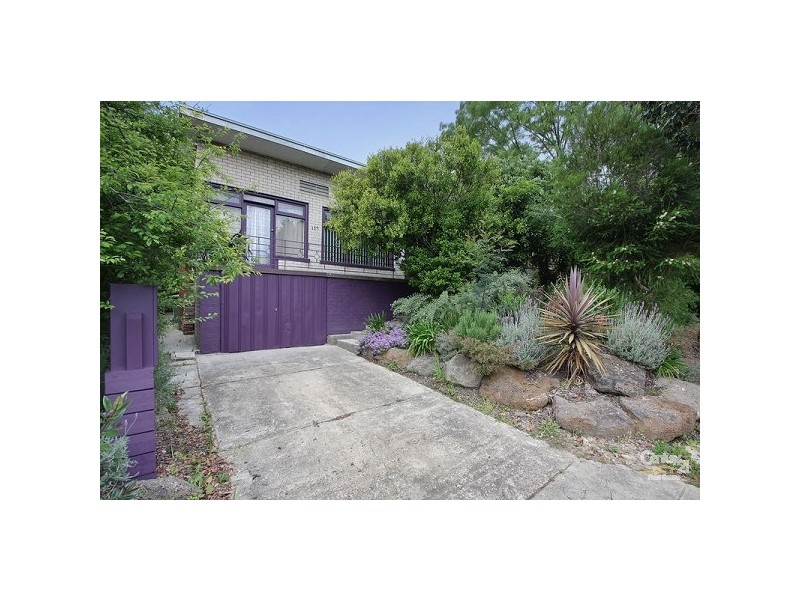 137 Bedford Road, Ringwood East VIC 3135