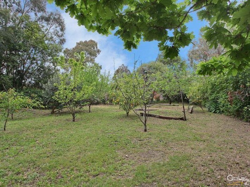 19 Homebush Court, Ringwood East VIC 3135