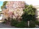 7/300 Mount Dandenong Road, Croydon VIC 3136