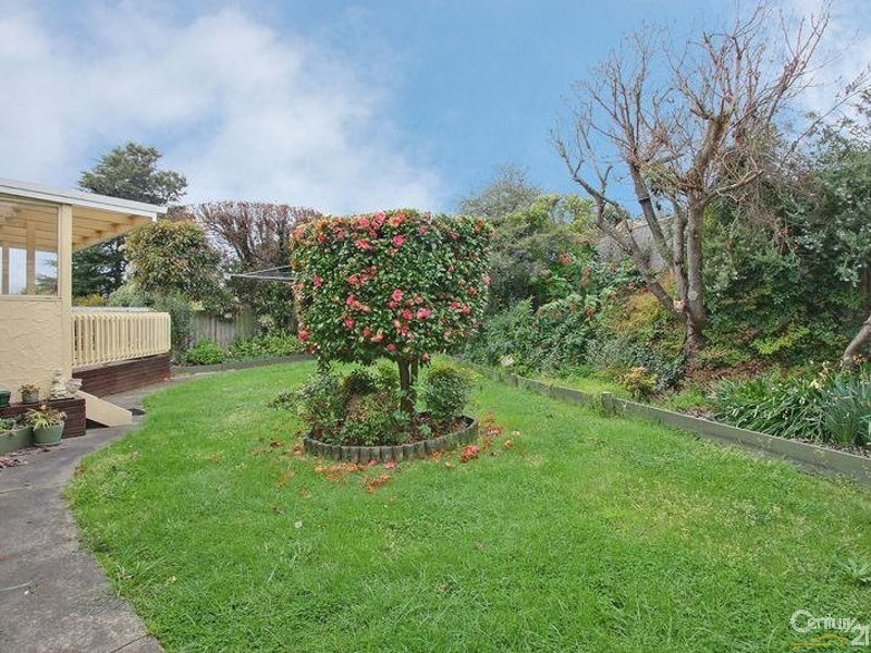 54 Old Lilydale Road, Ringwood East VIC 3135