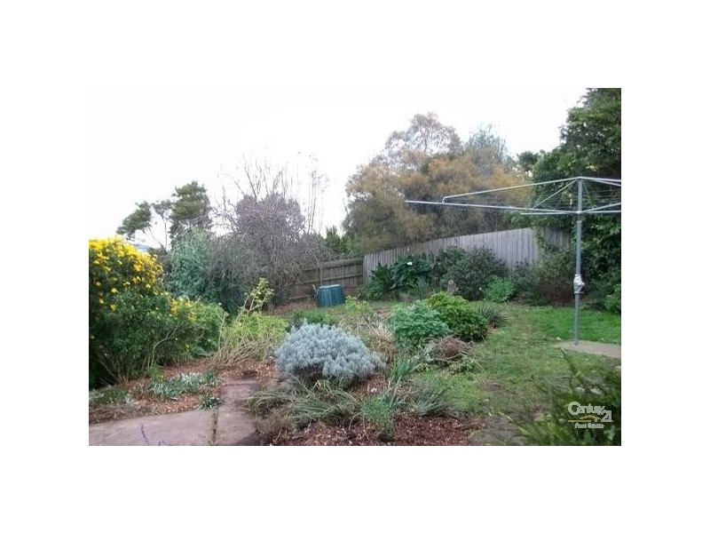 17 Statesman Crescent, Mooroolbark VIC 3138
