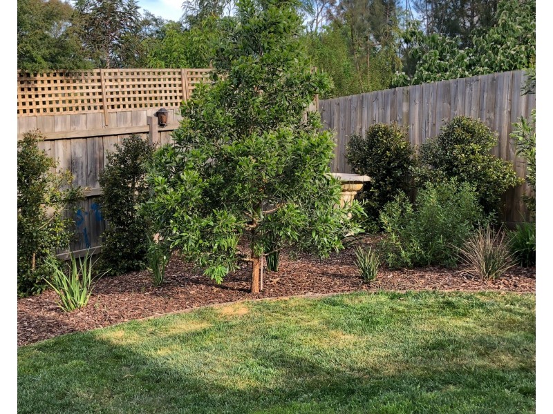 8 Newhaven Lane, Croydon VIC 3136