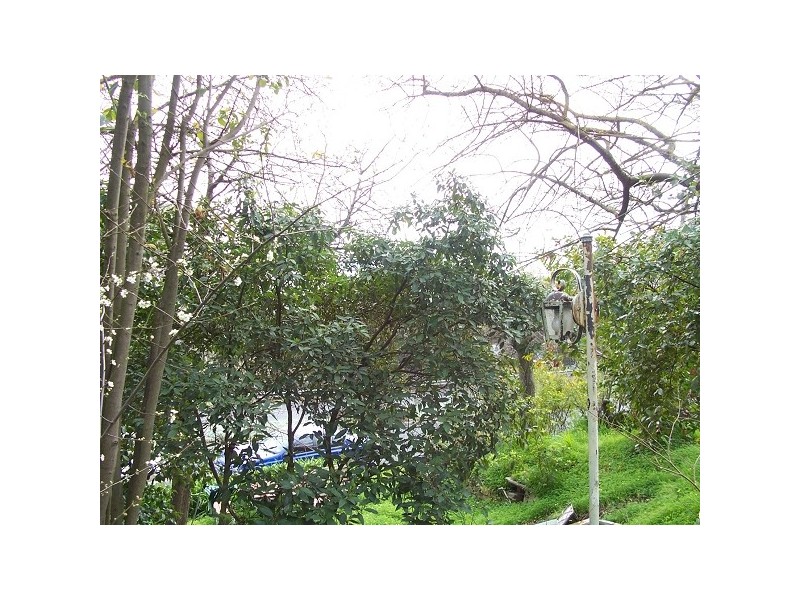 154 Mount Dandenong Road, Ringwood East VIC 3135