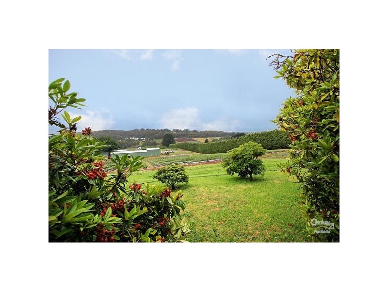 37 Henderson Hill Rd, Silvan VIC 3795